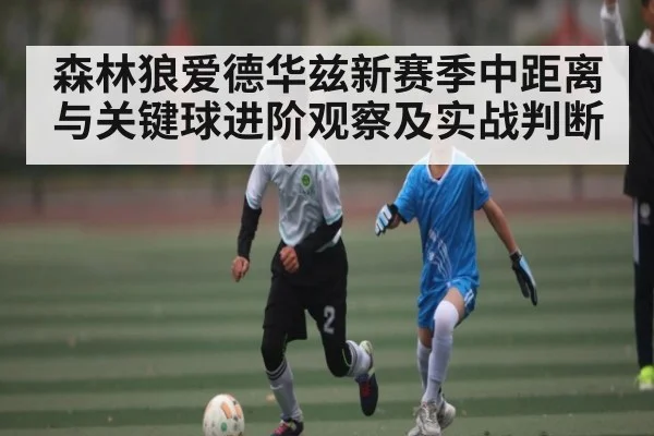 森林狼爱德华兹新赛季中距离与关键球进阶观察及实战判断